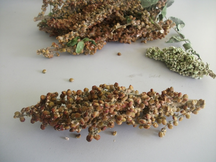 bubitkiyitanıdınızmı? 